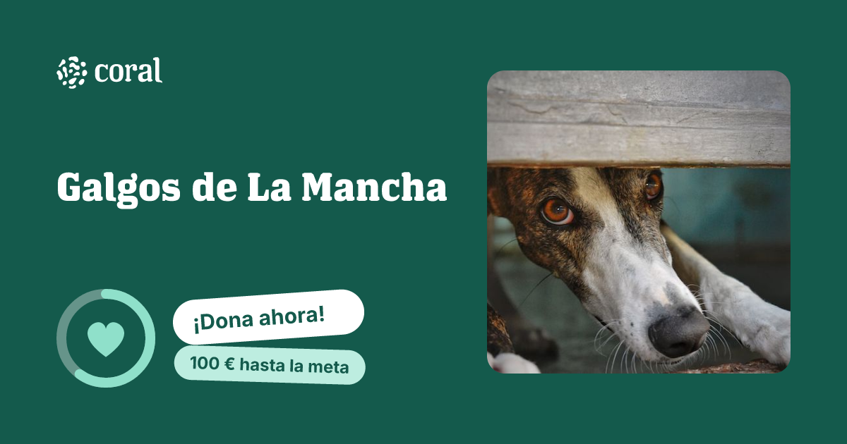 Vista previa de Galgos de La Mancha al compartir en redes sociales