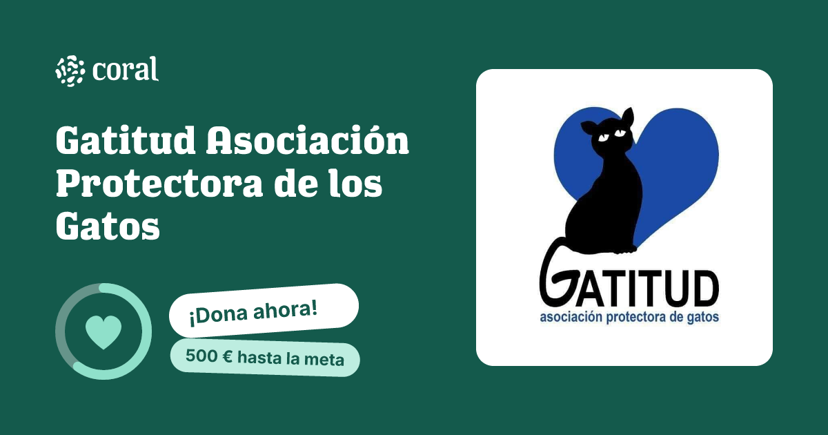 Vista previa de Gatitud Asociación Protectora de los Gatos al compartir en redes sociales