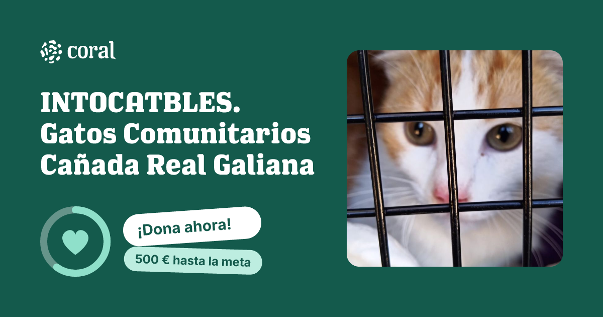 Vista previa de INTOCATBLES. Gatos Comunitarios Cañada Real Galiana al compartir en redes sociales