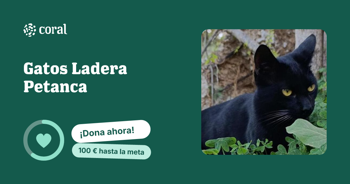 Vista previa de Gatos Ladera Petanca al compartir en redes sociales