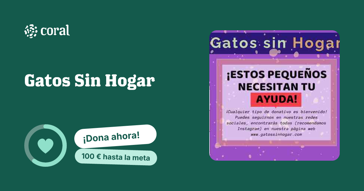 Vista previa de Gatos Sin Hogar al compartir en redes sociales