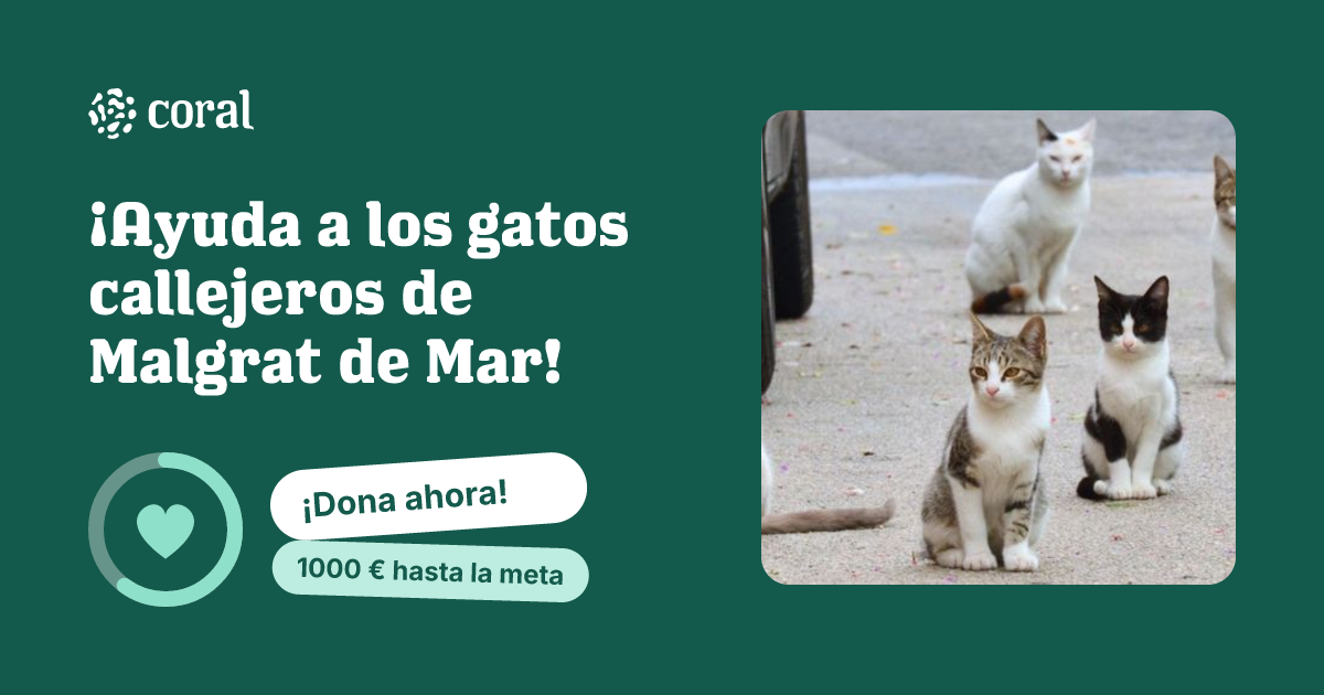 Vista previa de ¡Ayuda a los gatos callejeros de Malgrat de Mar!  al compartir en redes sociales