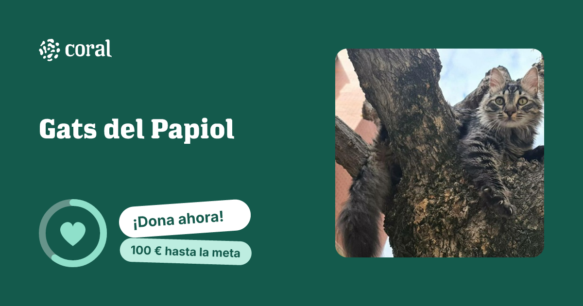 Vista previa de Gats del Papiol al compartir en redes sociales