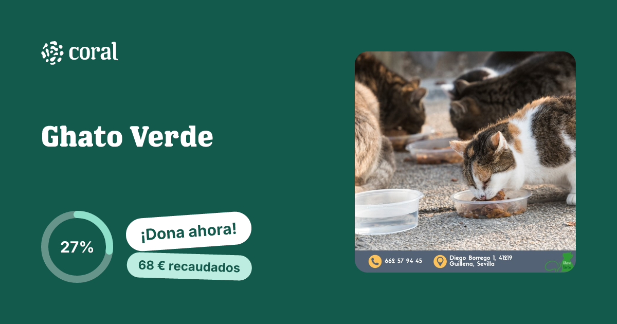 Vista previa de Ghato Verde al compartir en redes sociales