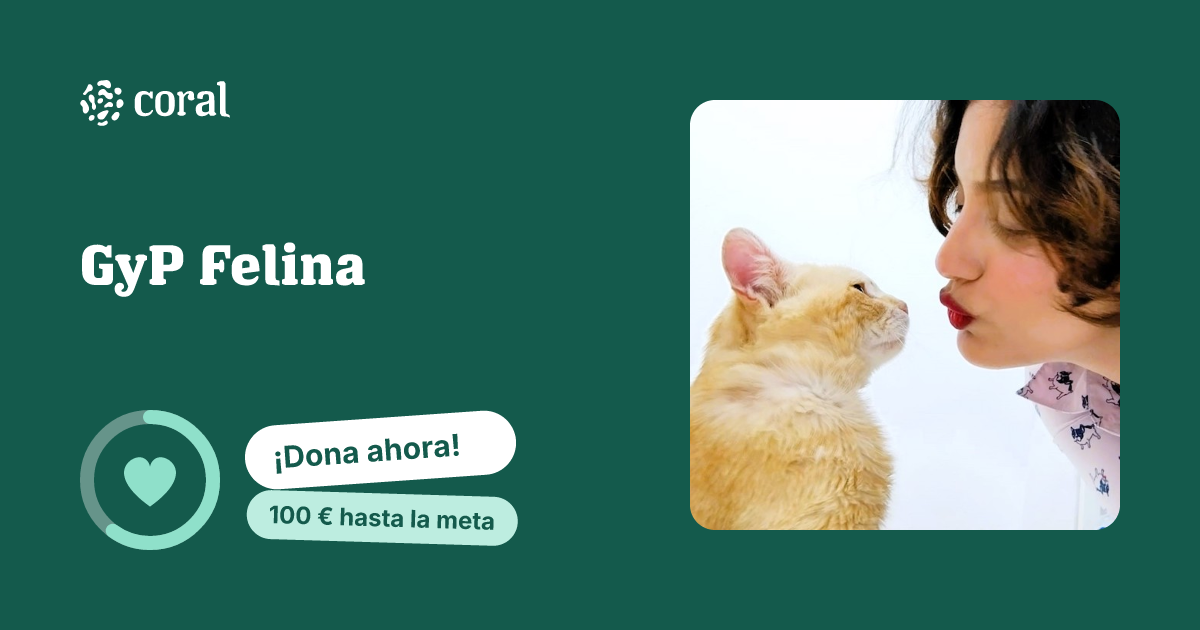 Vista previa de GyP Felina al compartir en redes sociales