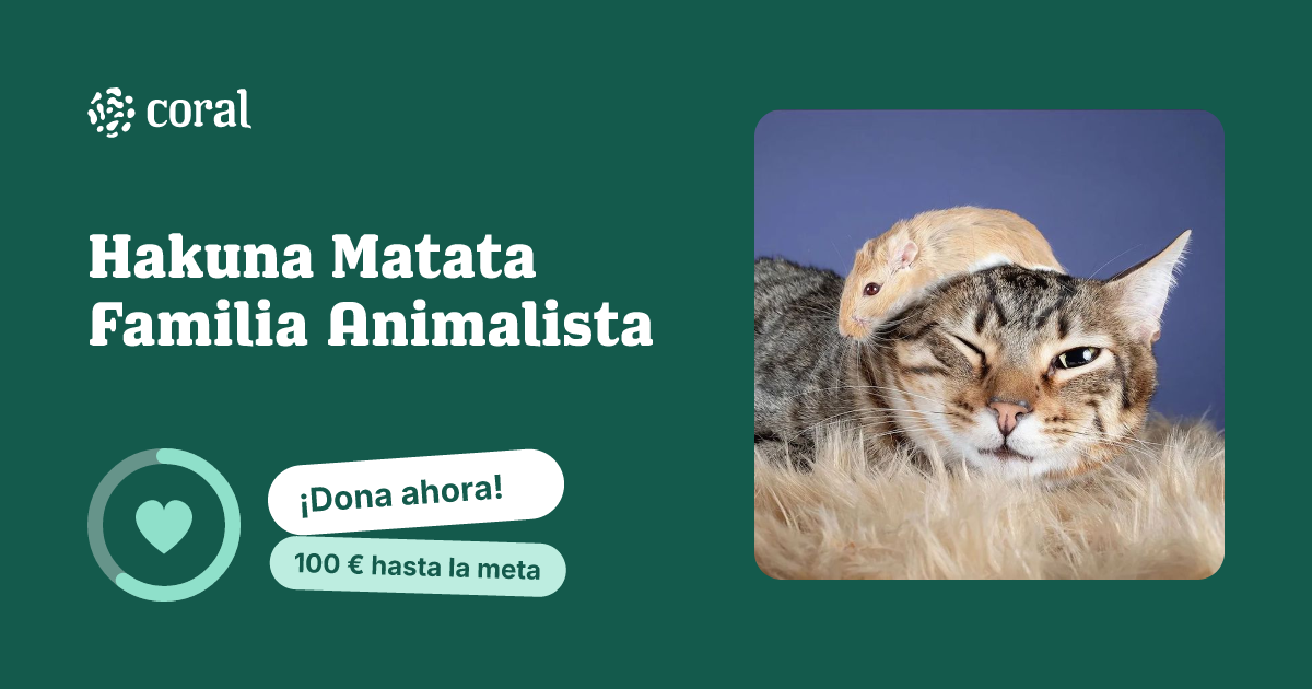 Vista previa de Hakuna Matata Familia Animalista al compartir en redes sociales