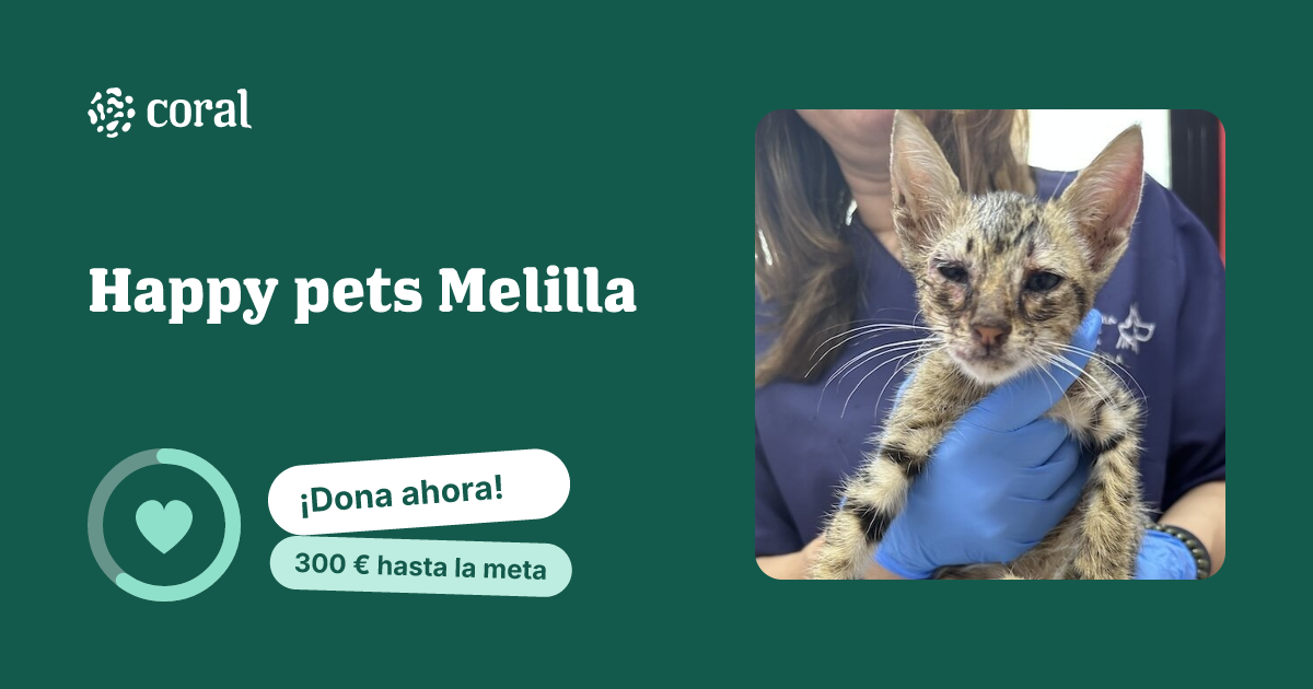 Vista previa de Happy pets  Melilla al compartir en redes sociales