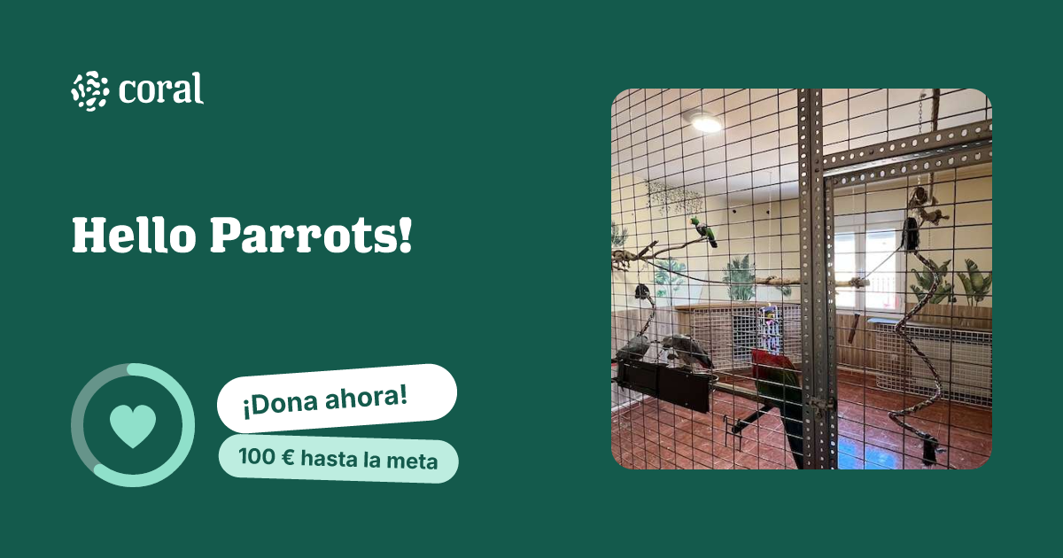 Vista previa de Hello Parrots! al compartir en redes sociales