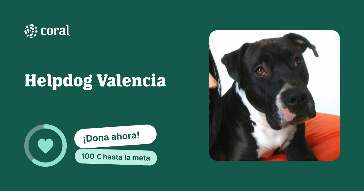 Vista previa de Helpdog Valencia al compartir en redes sociales