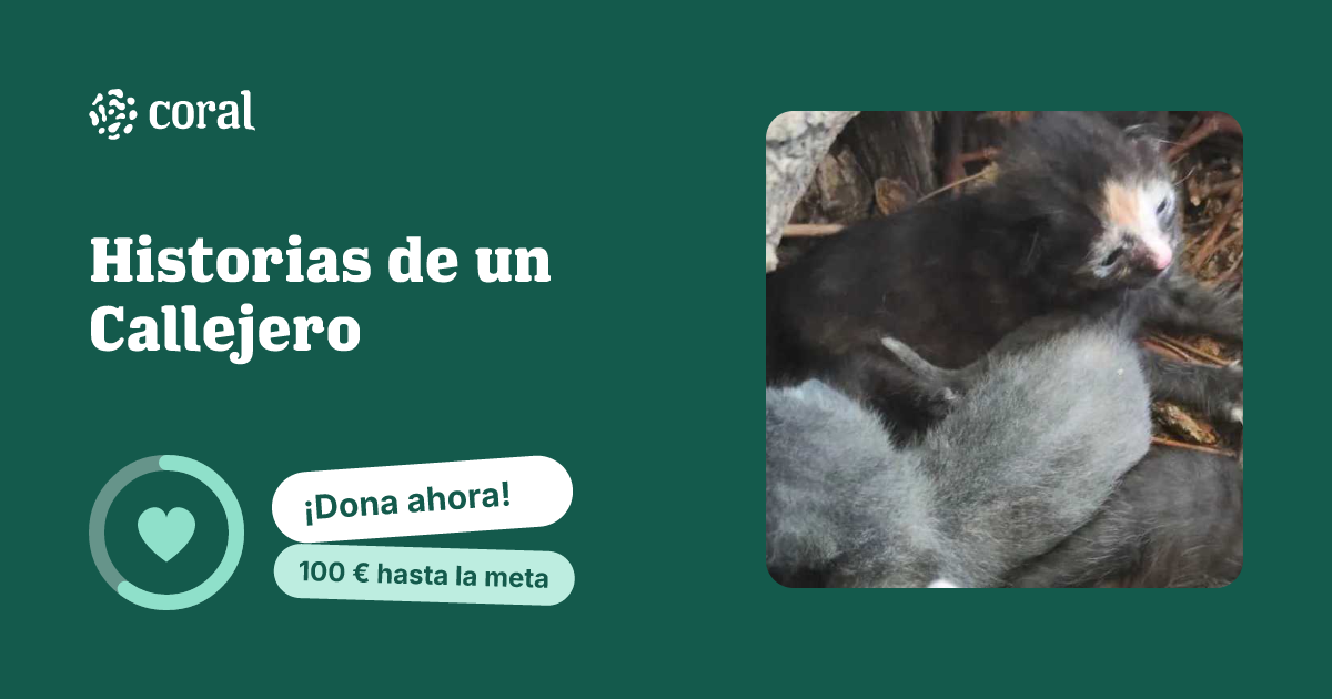 Vista previa de Historias de un Callejero al compartir en redes sociales