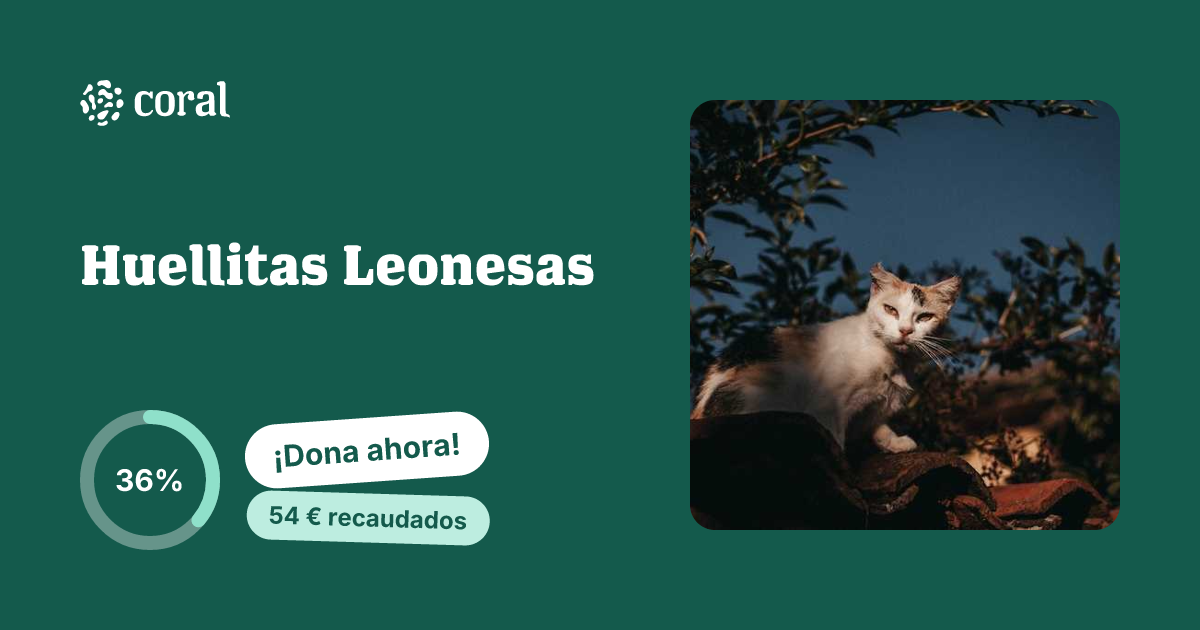 Vista previa de Huellitas Leonesas al compartir en redes sociales