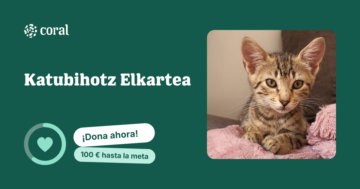Vista previa de Katubihotz Elkartea al compartir en redes sociales