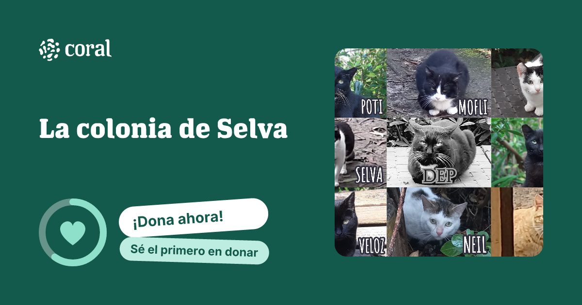 Vista previa de La colonia de Selva al compartir en redes sociales