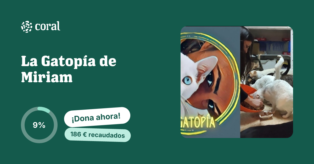 Vista previa de La Gatopía de Miriam al compartir en redes sociales