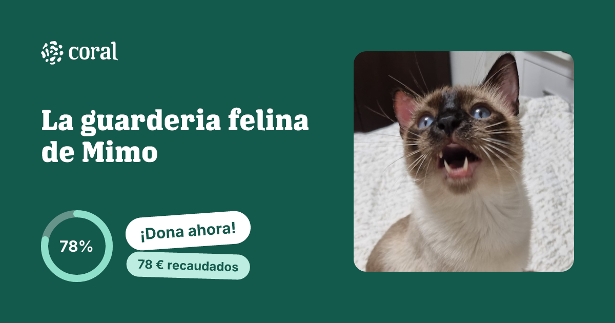 Vista previa de La guarderia felina de Mimo al compartir en redes sociales