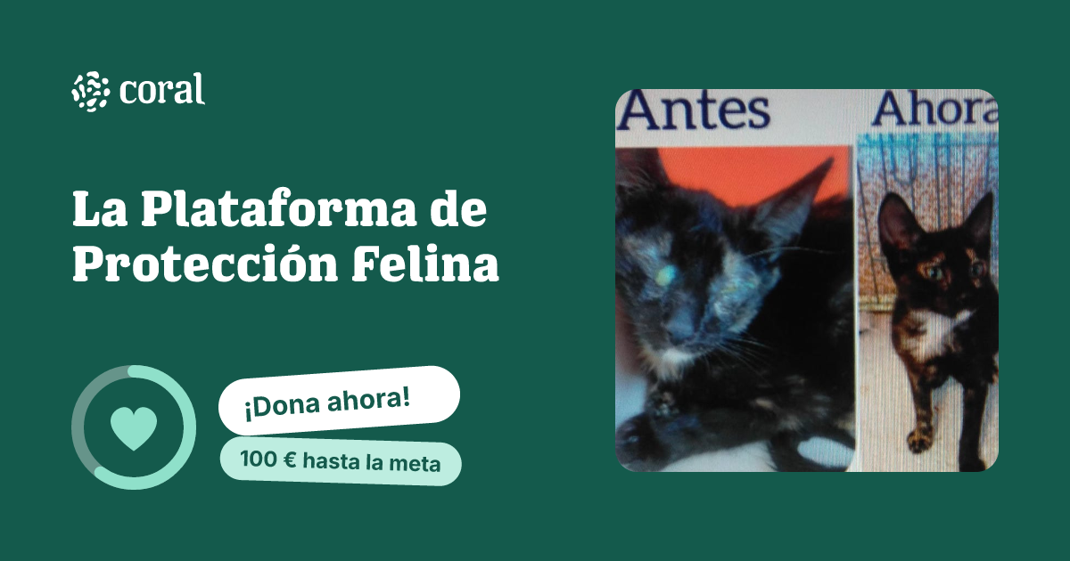Vista previa de La Plataforma de Protección Felina al compartir en redes sociales