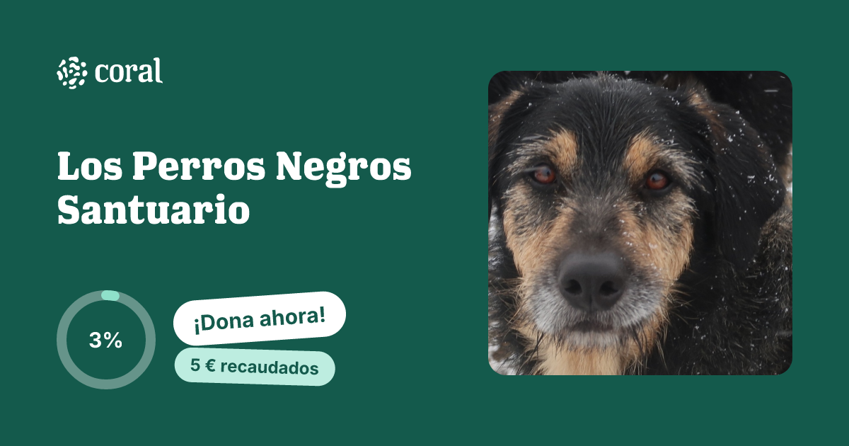 Vista previa de Los Perros Negros Santuario al compartir en redes sociales