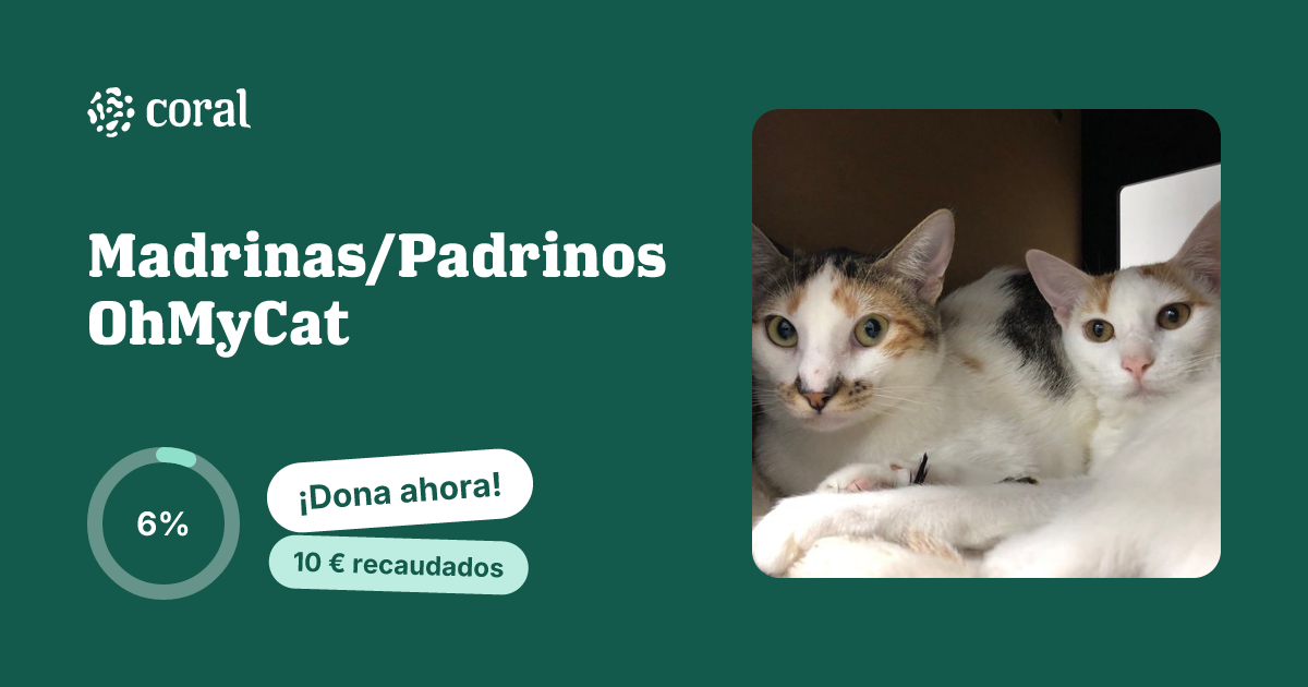 Vista previa de Madrinas/Padrinos OhMyCat al compartir en redes sociales