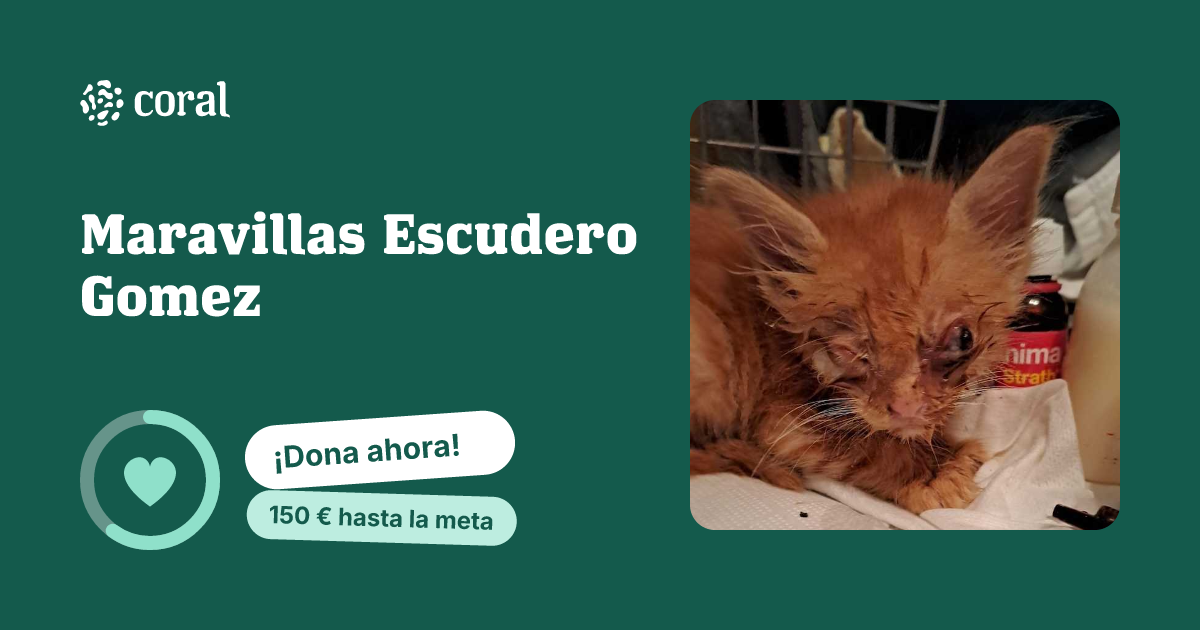 Vista previa de Maravillas Escudero Gomez al compartir en redes sociales