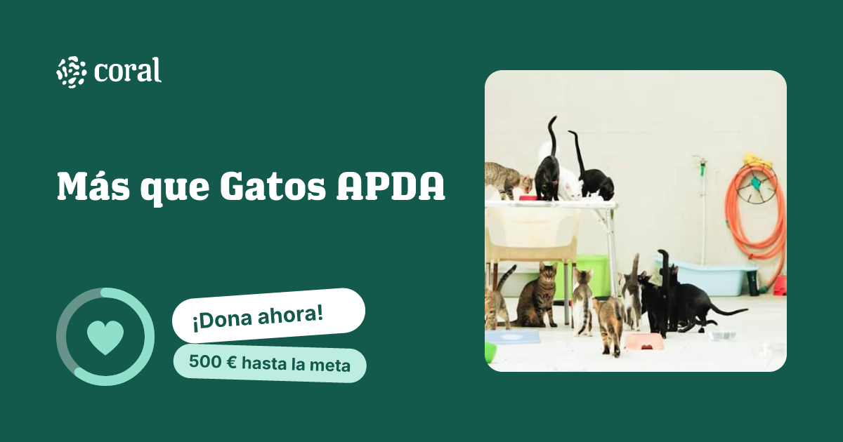 Vista previa de Más que Gatos APDA al compartir en redes sociales