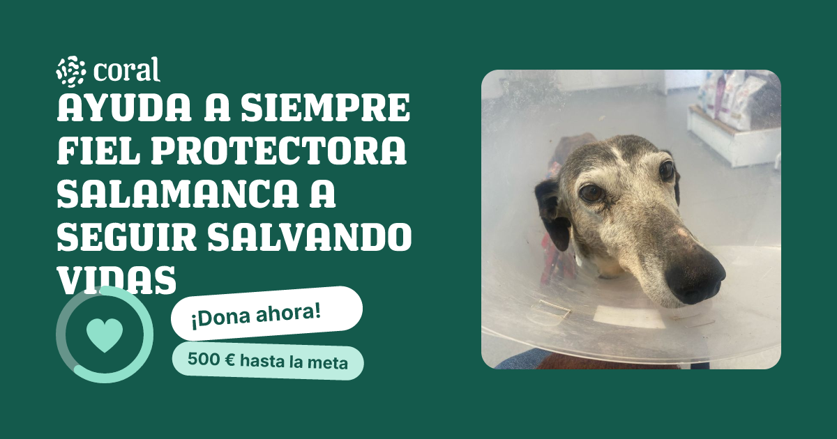 Vista previa de AYUDA A SIEMPRE FIEL PROTECTORA SALAMANCA A SEGUIR SALVANDO VIDAS al compartir en redes sociales