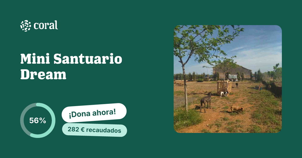 Vista previa de Mini Santuario Dream al compartir en redes sociales