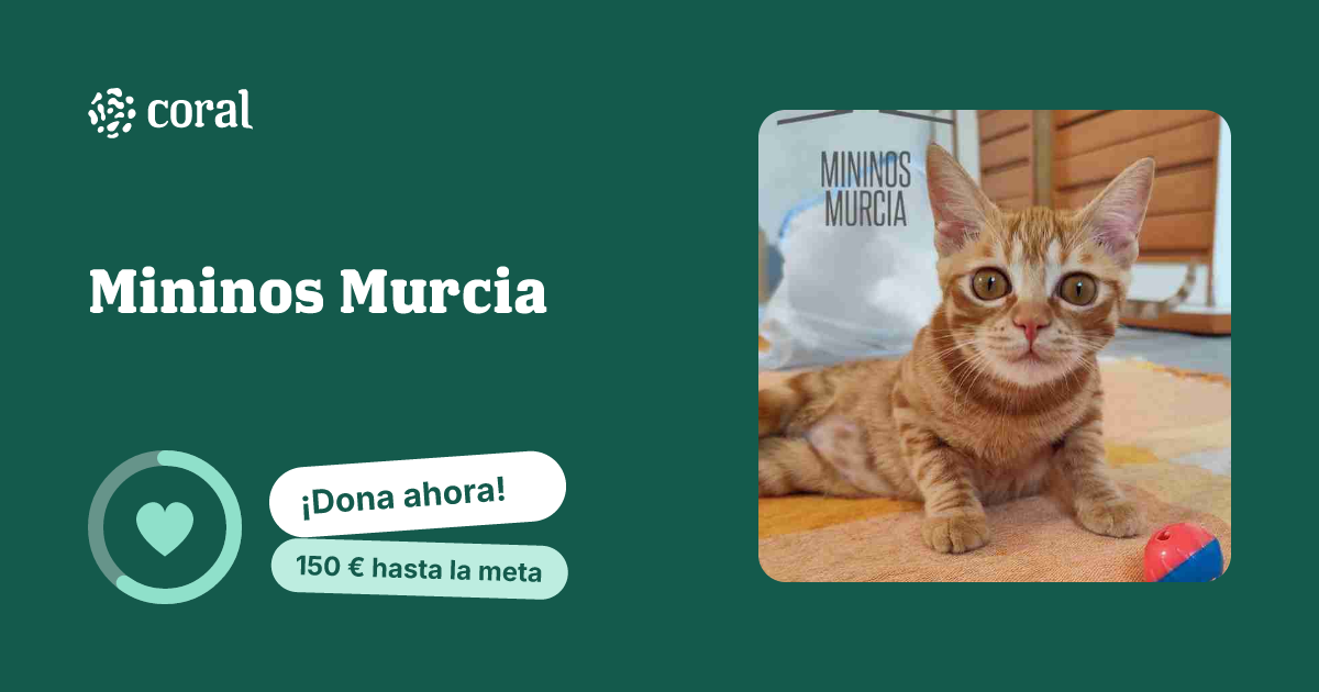 Vista previa de Mininos Murcia al compartir en redes sociales