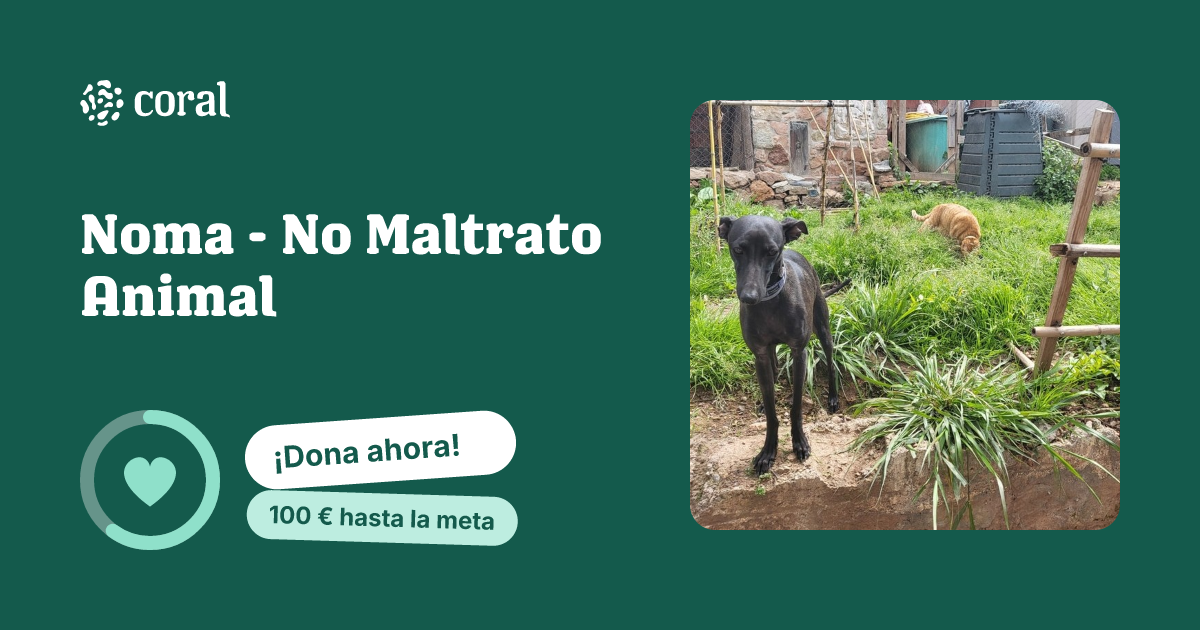 Vista previa de Noma - No Maltrato Animal al compartir en redes sociales