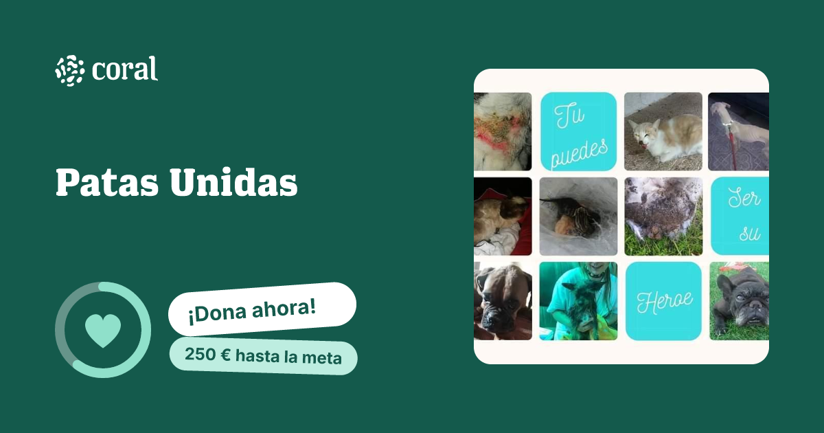 Vista previa de Patas Unidas al compartir en redes sociales