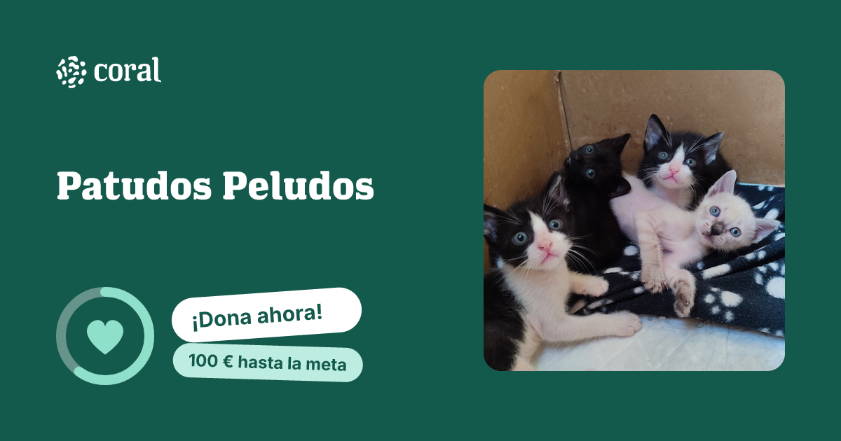Vista previa de Patudos Peludos al compartir en redes sociales