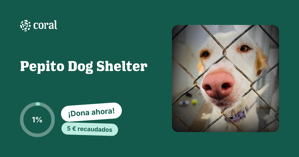 Vista previa de Pepito Dog Shelter al compartir en redes sociales