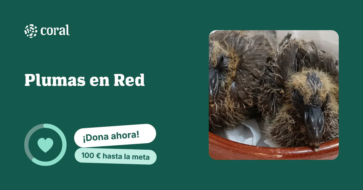 Vista previa de Plumas en Red al compartir en redes sociales