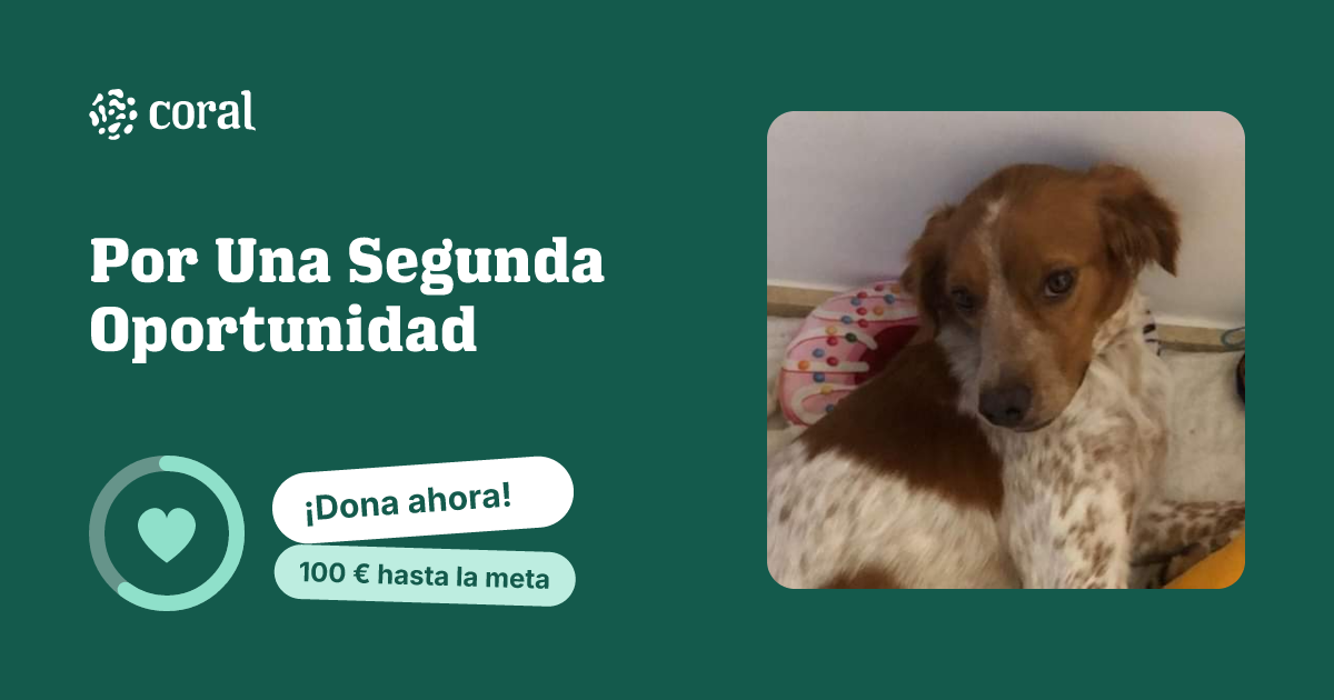 Vista previa de Por Una Segunda Oportunidad al compartir en redes sociales