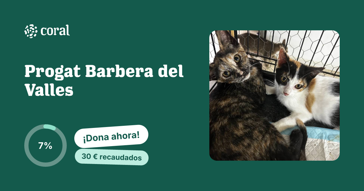 Vista previa de Progat Barbera del Valles al compartir en redes sociales