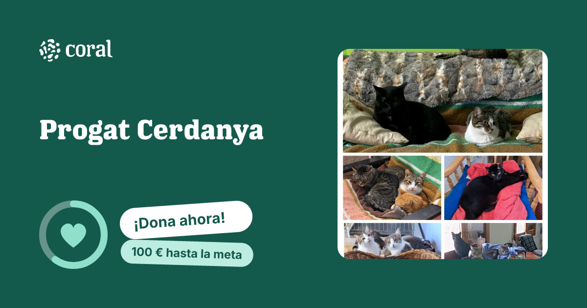 Vista previa de Progat Cerdanya al compartir en redes sociales