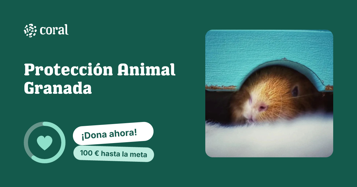 Vista previa de Protección Animal Granada al compartir en redes sociales