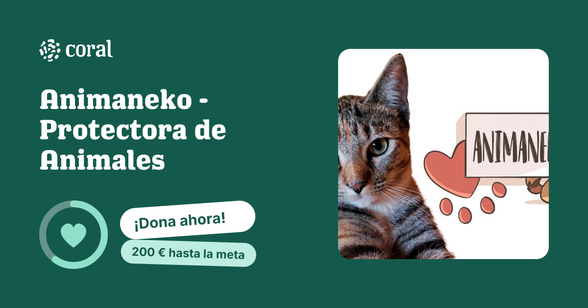 Vista previa de Animaneko - Protectora de Animales al compartir en redes sociales