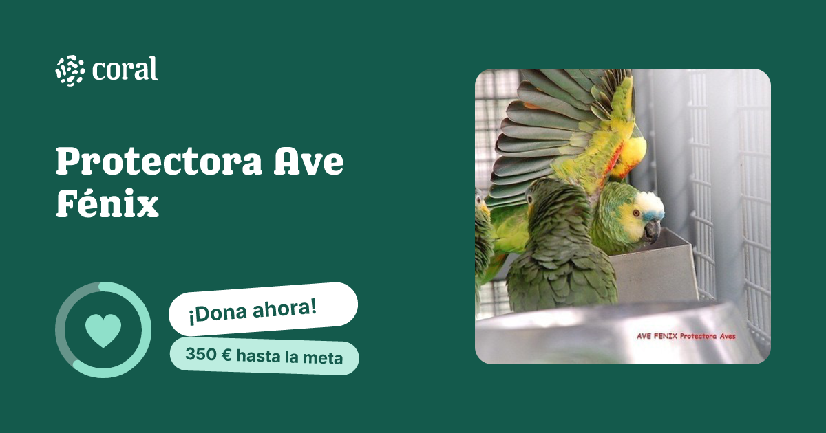 Vista previa de Protectora Ave Fénix al compartir en redes sociales
