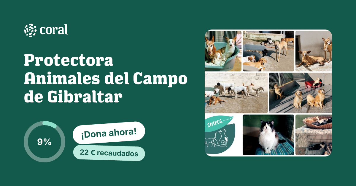 Vista previa de Protectora Animales del Campo de Gibraltar al compartir en redes sociales