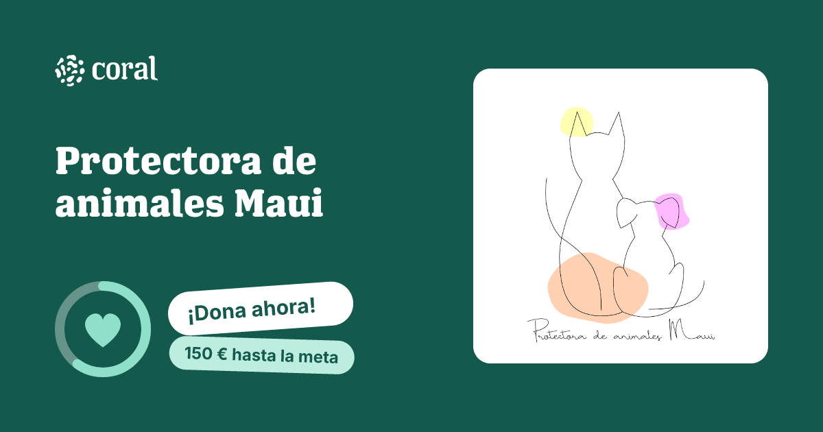 Vista previa de Protectora de animales Maui al compartir en redes sociales