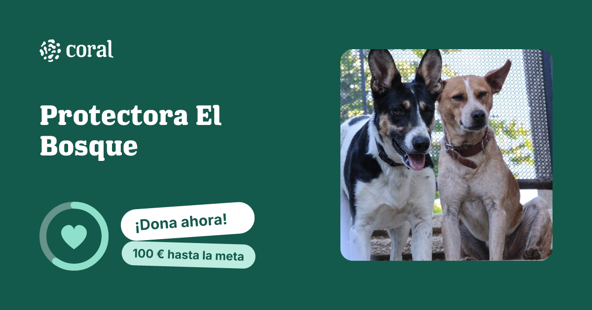 Vista previa de Protectora El Bosque al compartir en redes sociales