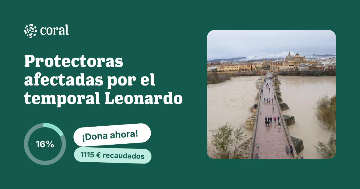 Vista previa de Protectoras afectadas por el temporal Leonardo al compartir en redes sociales