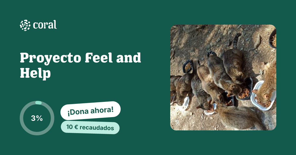 Vista previa de Proyecto Feel and Help al compartir en redes sociales