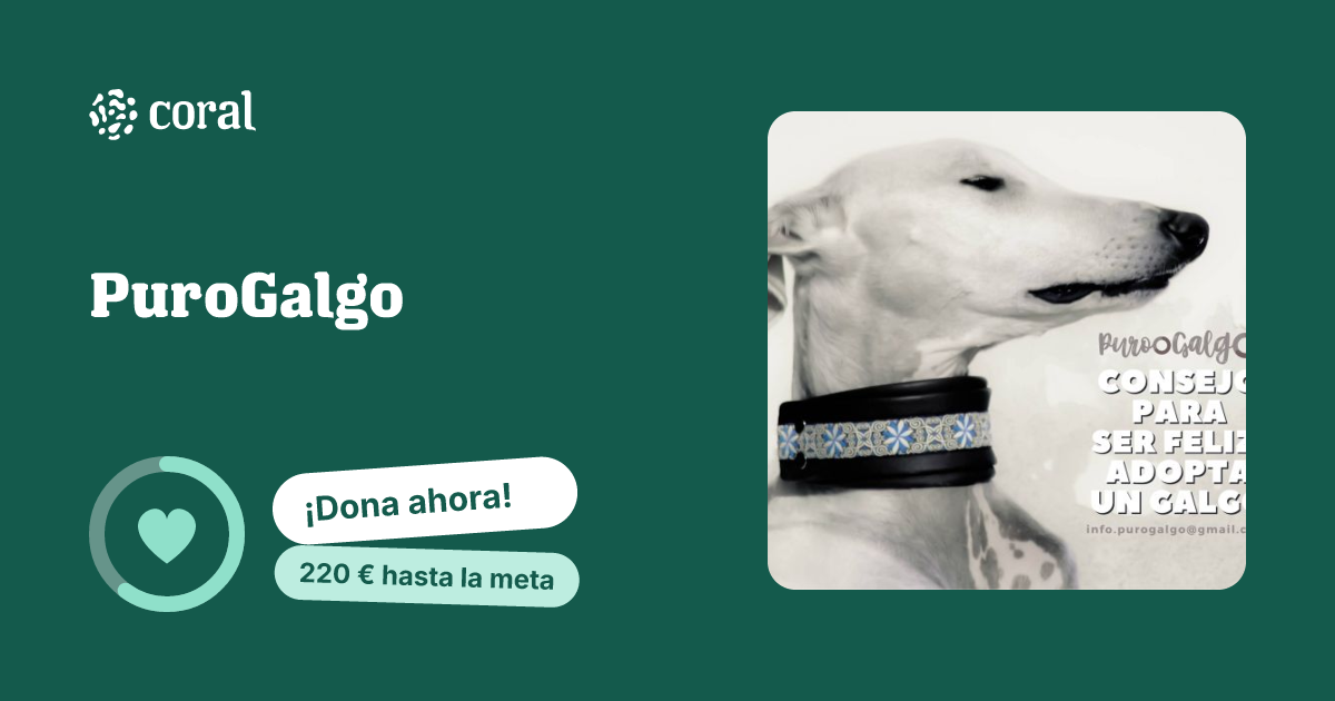 Vista previa de PuroGalgo al compartir en redes sociales