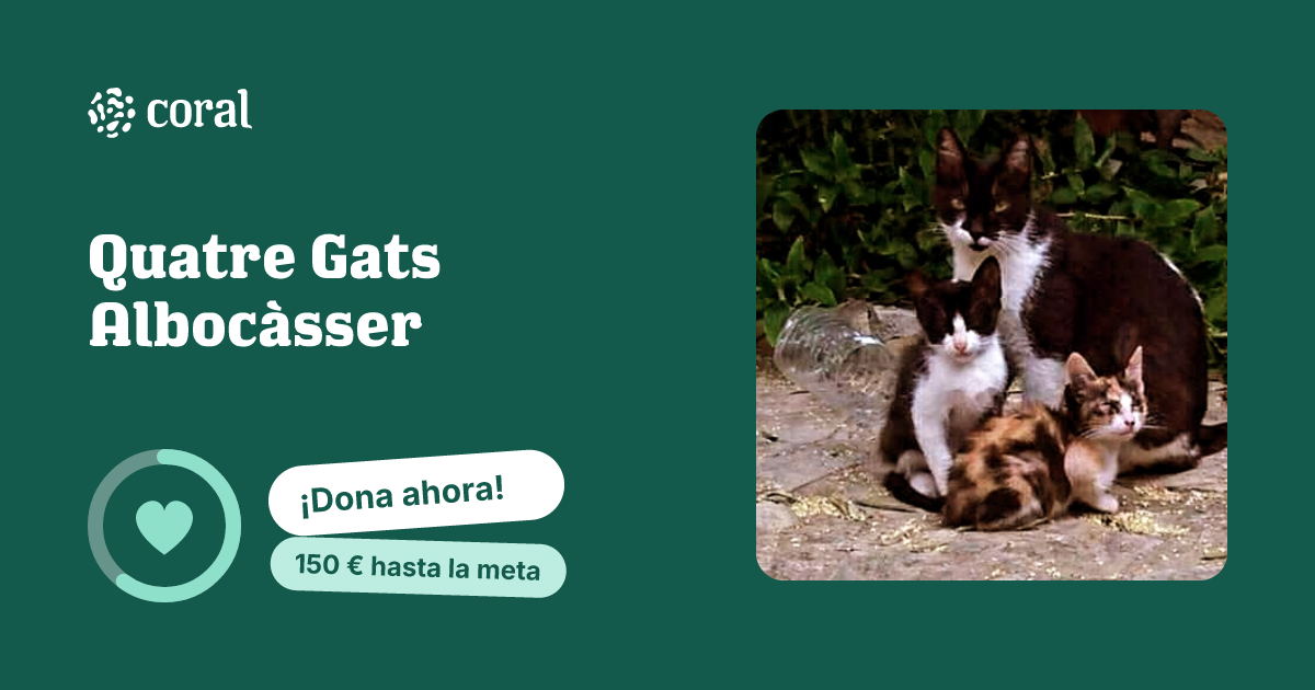 Vista previa de Quatre Gats Albocàsser al compartir en redes sociales