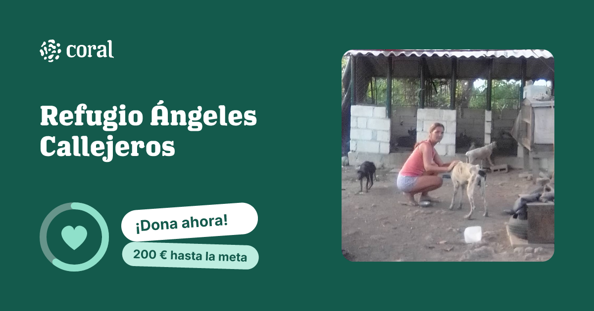 Vista previa de Refugio Ángeles Callejeros al compartir en redes sociales