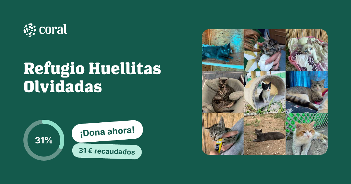 Vista previa de Refugio Huellitas Olvidadas al compartir en redes sociales