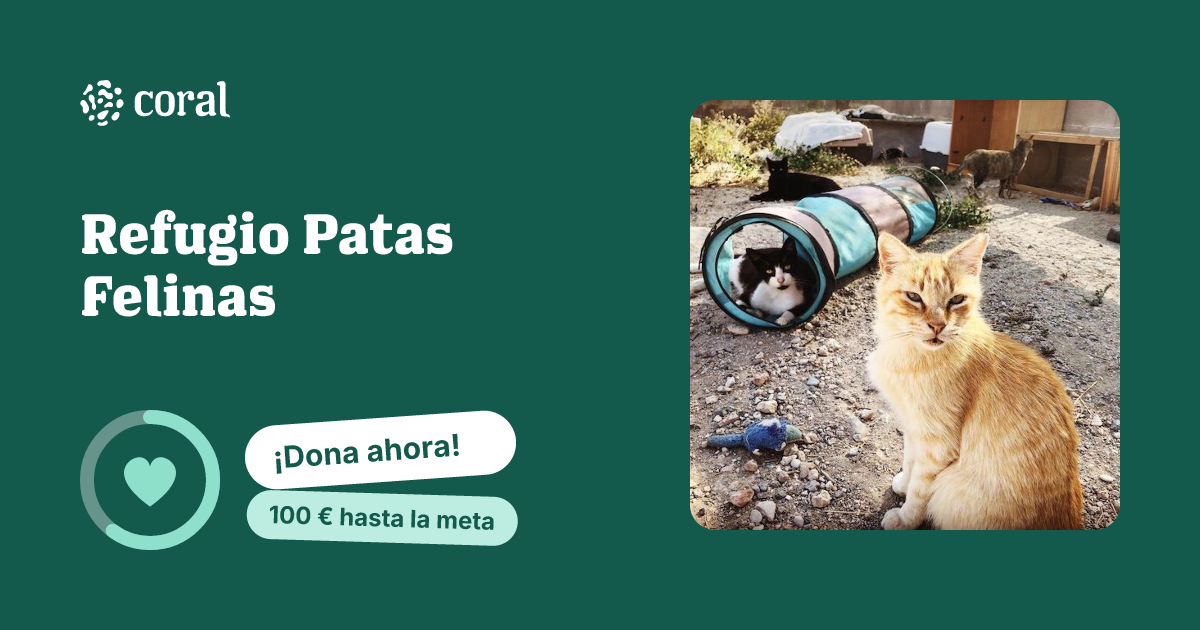 Vista previa de Refugio Patas Felinas al compartir en redes sociales