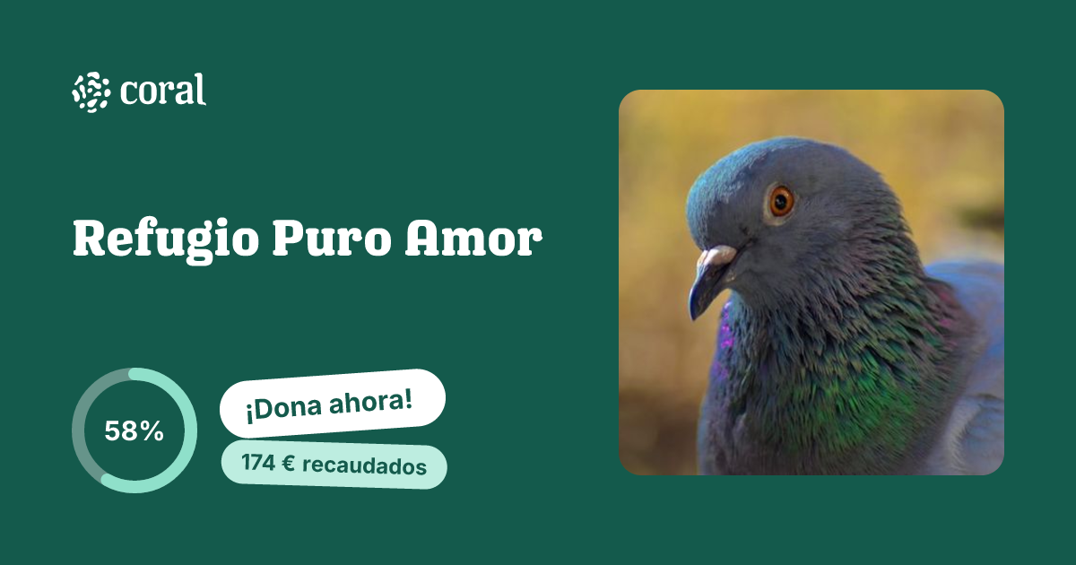 Vista previa de Refugio Puro Amor al compartir en redes sociales