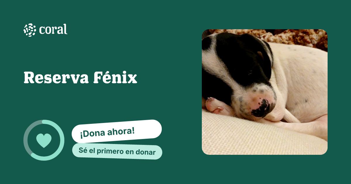 Vista previa de Reserva Fénix al compartir en redes sociales